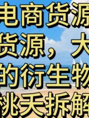 虚拟电商之二—另类的货源，大平台的衍生物