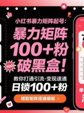 小红书暴力矩阵起号，教你打通引流-变现速通，日锁100+粉，破流量黑盒