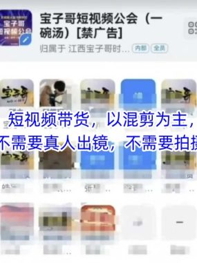 宝子哥头部团队短视频带货,以混剪为主,不需要真人出镜,不需要拍摄【更新9月】