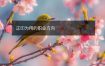正印为用的职业方向