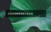 正官坐禄解释意思大全女命