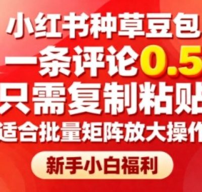 小红书种草豆包，一条评论0.5，只需复制粘贴，适合批量矩阵放大操作，新手小白福利