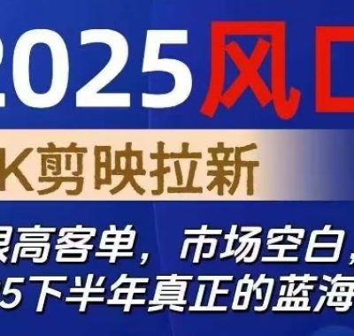 2025风口TK剪映capcut拉新项目，极限高客单，市场空白，2025下半年真正的蓝海项目
