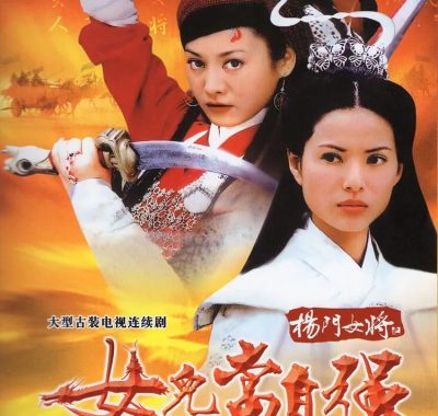 【高分古装剧】杨门女将 (2001)全40集【李若彤/李绮虹/郑佩佩】【豆瓣8.1分】