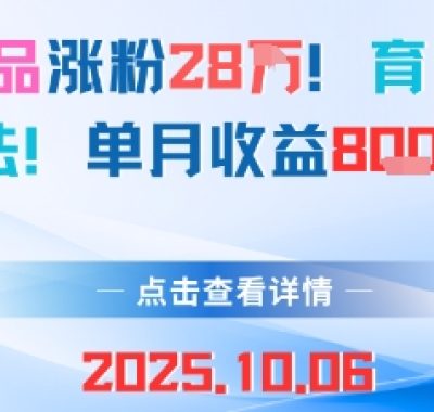 18条作品涨粉28W，育儿赛道新玩法，单月收益8k