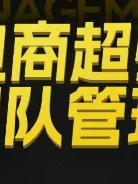 电商超强团队管理，组织绩效，到用人执行，分权合伙
