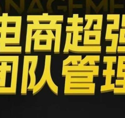 电商超强团队管理，组织绩效，到用人执行，分权合伙