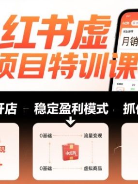 小红书虚拟项目特训课，帮你从0到1打造稳定盈利的店铺，抓住流量红利（更新9月）