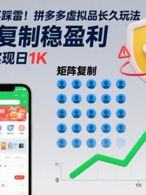 不内卷不踩雷！拼多多虚拟品长久玩法，矩阵复制稳盈利，轻松实现日1K【揭秘】