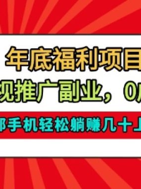年底福利项目，影视推广副业，一部手机轻松躺入几十上百【揭秘】